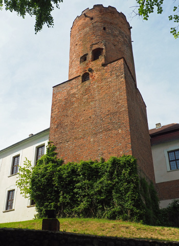 Krauskopf Burgen 14
