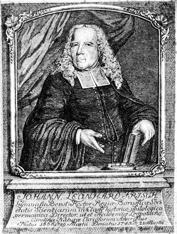 Mädlow Ornithologie 1