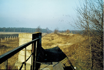 Mädlow Ornithologie 12