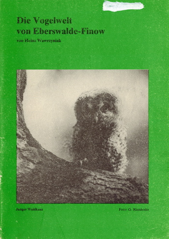 Mädlow Ornithologie 6