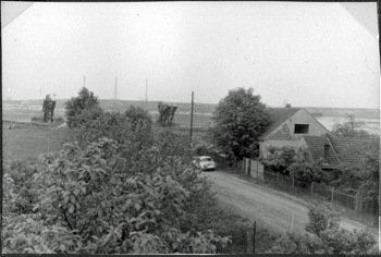 24 Büschel 3